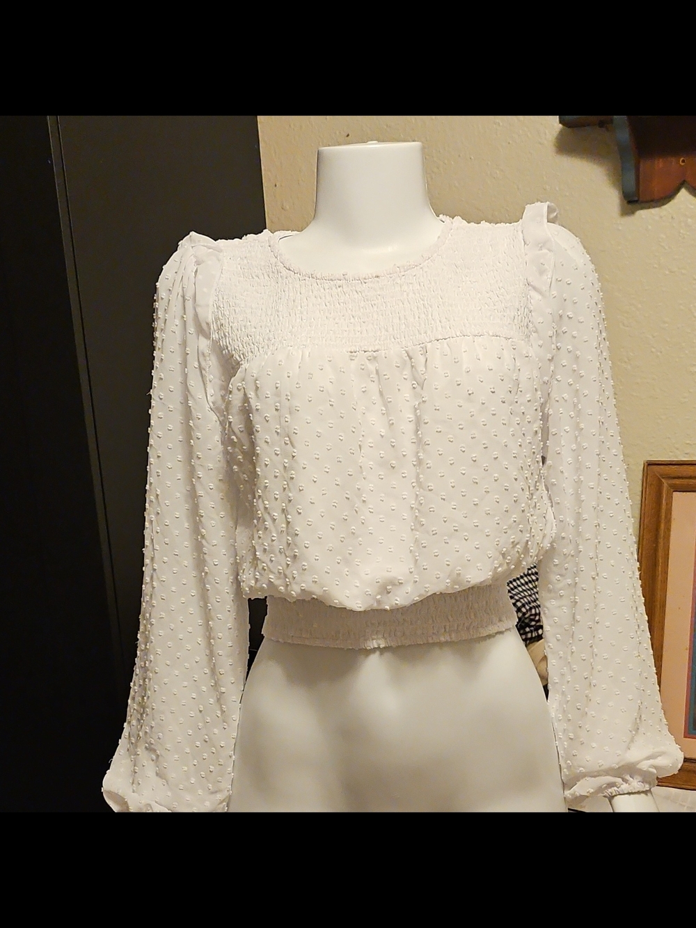 White Swiss Dot Smocked Waist Long Sleeve Blouse